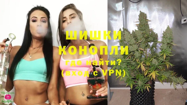 прущая мука Гусиноозёрск